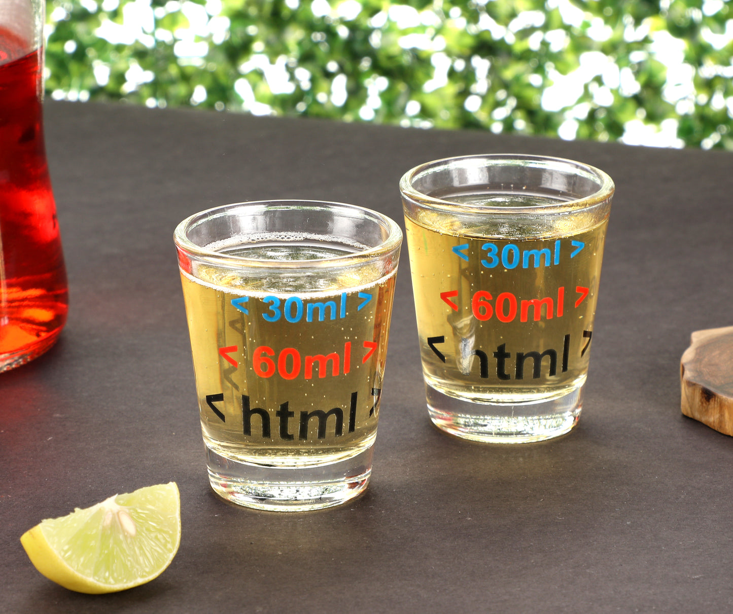 HTML Coder Shot Glass set of 2