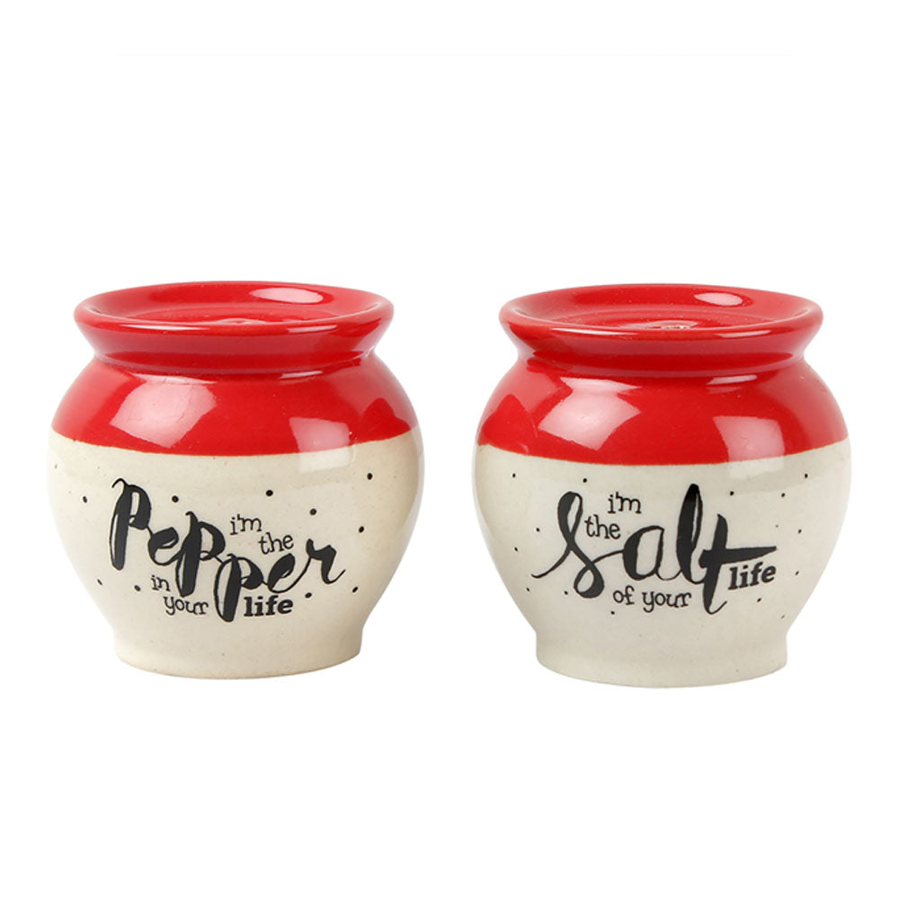 Matka Salt Pepper Shaker