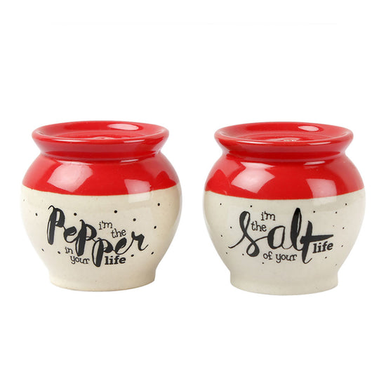 Matka Salt Pepper Shaker